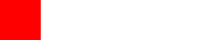 Berita